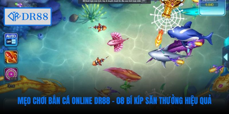meo-choi-ban-ca-online-dr88-08-bi-kip-san-thuong-hieu-qua
