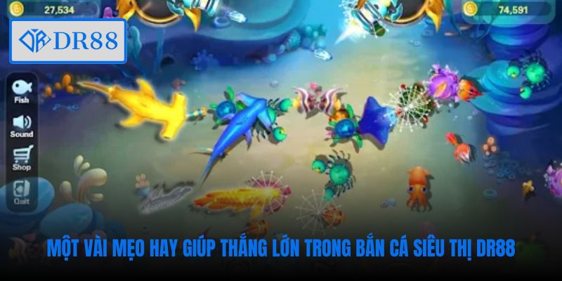 Một vài mẹo hay giúp thắng lớn trong Bắn Cá Siêu Thị DR88