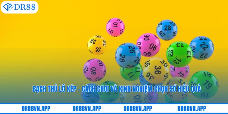 Bạch Thủ Lô Kép – Cách Chơi Và Kinh Nghiệm Chọn Số Hiệu Quả