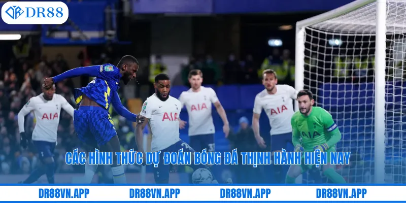 Các hình thức dự đoán bóng đá thịnh hành hiện nay Các hình thức dự đoán bóng đá thịnh hành hiện nay