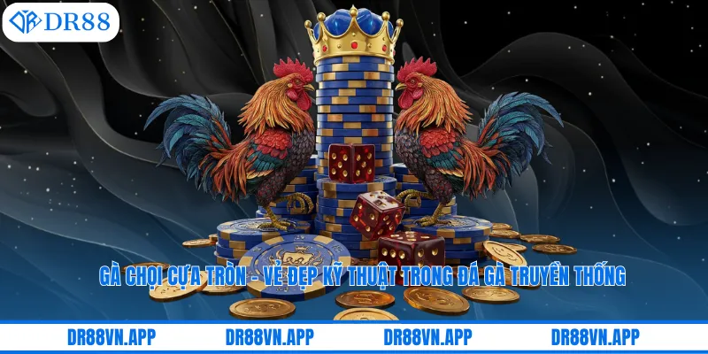 Gà Chọi Cựa Tròn – Vẻ Đẹp Kỹ Thuật Trong Đá Gà Truyền Thống